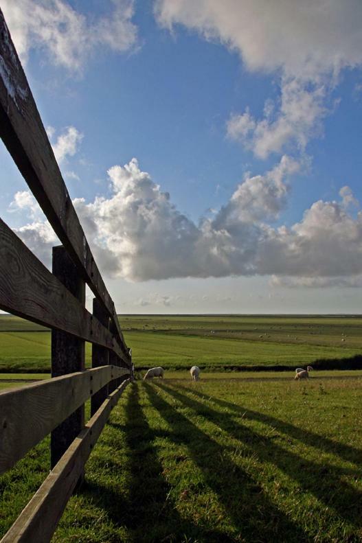 "Wattengebiet Entdeckungsreise" Tzummarum Exterior foto